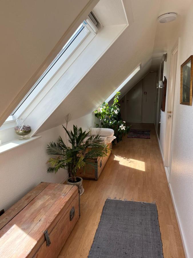 Munkebo B&B, Thy 티스테드 외부 사진